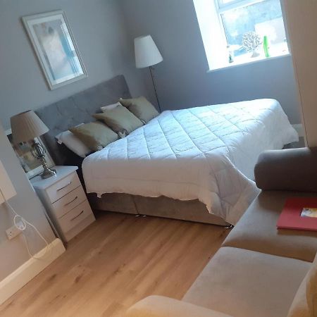 Spacious Studio-Dublin 3 Zewnętrze zdjęcie